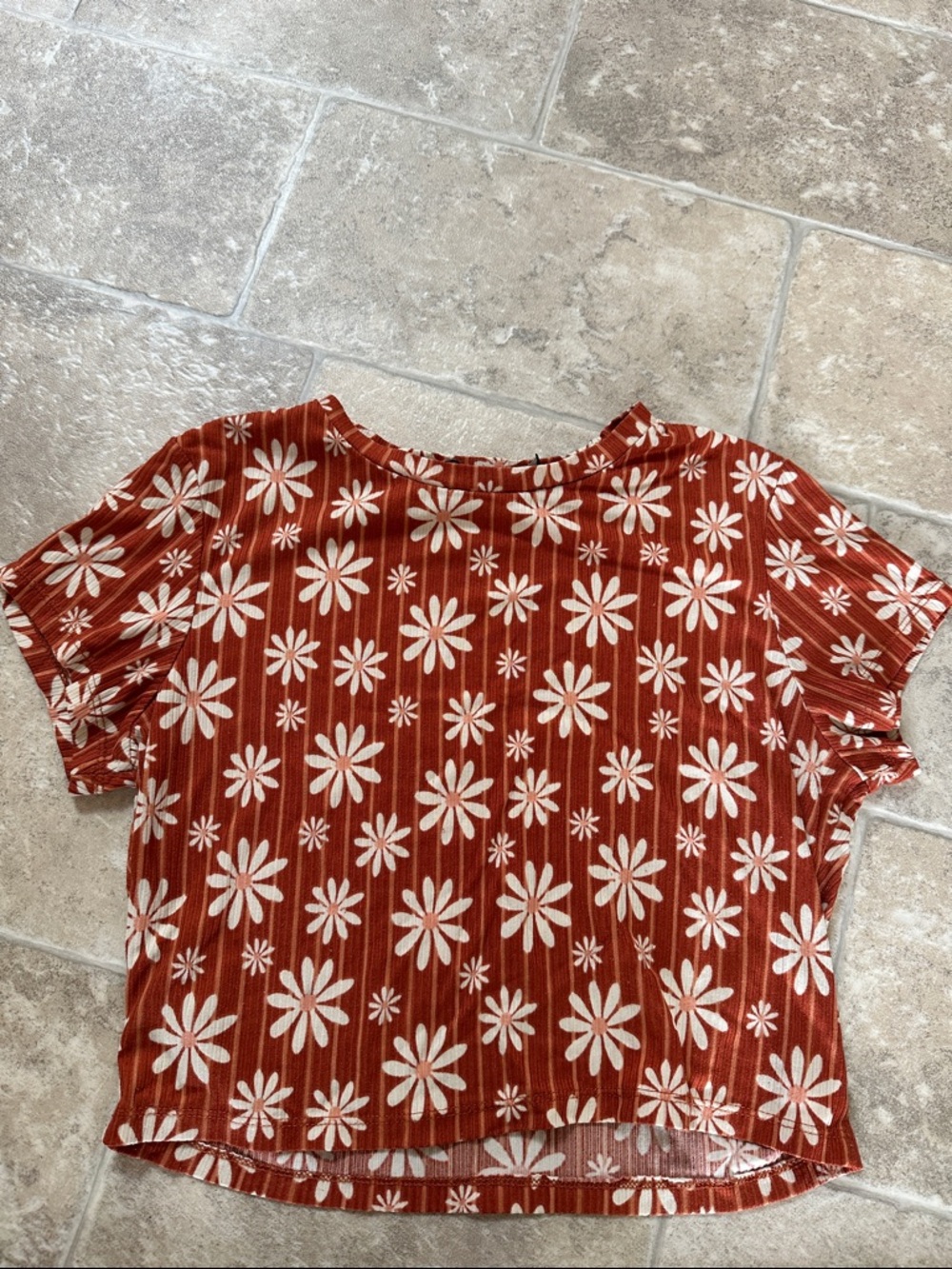 Floral Short-Sleeve Crop Top - Rust with Cream Daisy Print